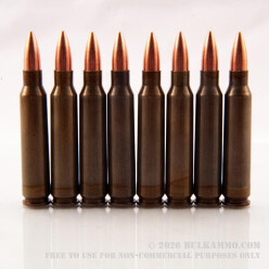 20 Rounds of .223 Ammo by Brown Bear - 55gr FMJ