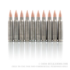 20 Rounds of .223 Ammo by Colt (Silver Bear) - 62gr FMJ