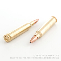 20 Rounds of .223 Ammo by Golden Bear - 62gr HP
