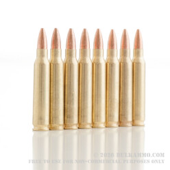 20 Rounds of .223 Ammo by Golden Bear - 62gr HP