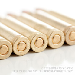 20 Rounds of .223 Ammo by Golden Bear - 62gr HP