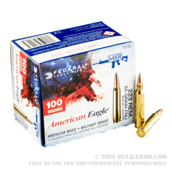 100 Rounds of .223 Ammo by Federal - 55gr FMJ