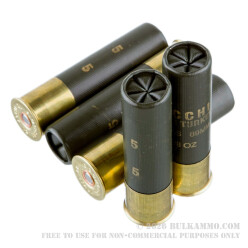 10 Rounds of 12ga Ammo by Fiocchi - 2 3/8 ounce  #5 shot