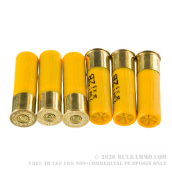 250 Rounds of 20ga Ammo by Aguila - 1 ounce #2 Buck