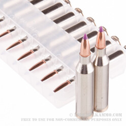 20 Rounds of .243 Win Ammo by Federal Vital-Shok - 55gr Nosler Ballistic Tip