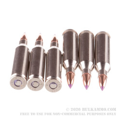 20 Rounds of .243 Win Ammo by Federal Vital-Shok - 55gr Nosler Ballistic Tip