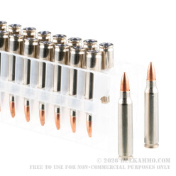 20 Rounds of .223 Ammo by Federal - 55gr TSX