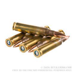 20 Rounds of 5.56x45 Ammo by Federal American Eagle - 55gr FMJ
