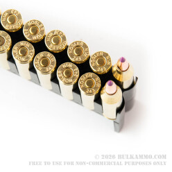 20 Rounds of .243 Win Ammo by Nosler Ammunition - 90gr Nosler Ballistic Tip