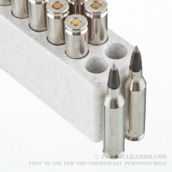 20 Rounds of .243 Win Ammo by Winchester Ballistic Silvertip - 55gr Polymer Tipped