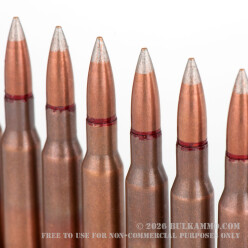 880 Rounds of 7.62x54r Ammo by Bulgarian Surplus - 147gr FMJ