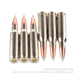 20 Rounds of .308 Win Ammo by Winchester Ballistic Silvertip - 120gr Polymer Tipped