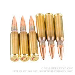 20 Rounds of 7.62x51 Ammo by IMI - 175gr OTM