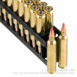 20 Rounds of .204 Ruger Ammo by Hornady - 32gr Vmax