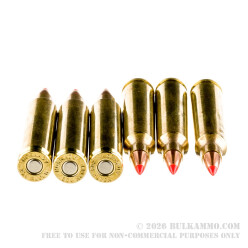 20 Rounds of .204 Ruger Ammo by Hornady - 32gr Vmax
