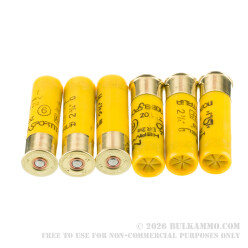 250 Rounds of 20ga Ammo by NobelSport Heavy Field - 1 ounce #6 shot