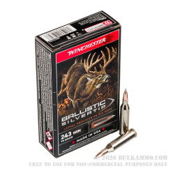 20 Rounds of .243 Win Ammo by Winchester Ballistic SilverTip - 95gr Polymer Tipped