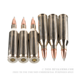 20 Rounds of .243 Win Ammo by Winchester Ballistic SilverTip - 95gr Polymer Tipped