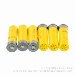 25 Rounds of 20ga Ammo by Remington - 7/8 ounce #6 shot