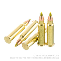 125 Rounds of .17 HMR Ammo by CCI - 17gr VNT