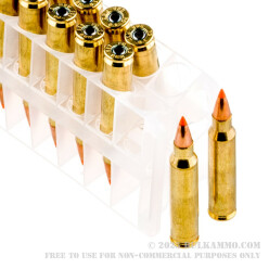 20 Rounds of .223 Ammo by Federal - 55gr Nosler Ballistic Tip