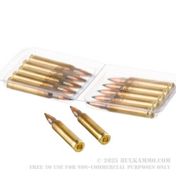 20 Rounds of .223 Ammo by ADI - 55gr Polymer Tipped Sierra BlitzKing