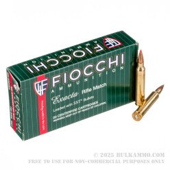 20 Rounds of .300 Win Mag Ammo by Fiocchi - 180gr SST