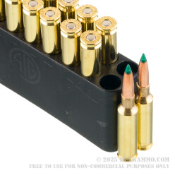 20 Rounds of 6.5 Creedmoor Ammo by Sig Sauer Elite Hunter - 130gr Polymer Tipped