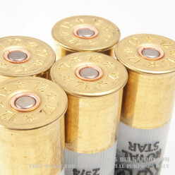 250 Rounds of 12ga Ammo by Rio - 1 ounce Rifled Slug