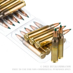 20 Rounds of .223 Ammo by ADI World Class - 55gr BlitzKing