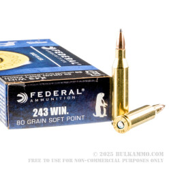 200 Rounds of .243 Win Ammo by Federal Power Shok - 80gr SP