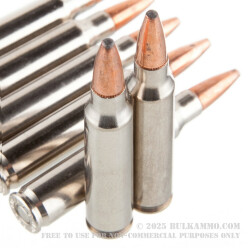 20 Rounds of .223 Ammo by Speer Gold Dot - 55gr SP