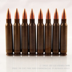 500 Rounds of .223 Ammo by Brown Bear - 55gr FMJ
