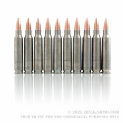 20 Rounds of .223 Ammo by Colt (Silver Bear) - 62gr FMJ