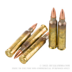 20 Rounds of .223 Ammo by Winchester USA - 55gr FMJ