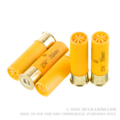 25 Rounds of 20ga Ammo by Federal -  #6 shot