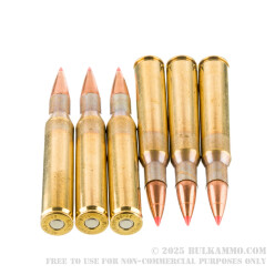 20 Rounds of 30-06 Springfield Ammo by Fiocchi - 180gr SST