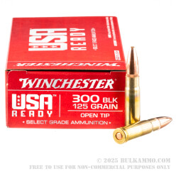 20 Rounds of .300 AAC Blackout Ammo by Winchester USA Ready - 125gr OT