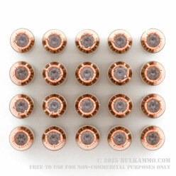 20 Rounds of .40 S&W Ammo by Speer - 155gr JHP