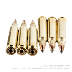 200 Rounds of .223 Ammo by Winchester - 55gr Polymer Tipped