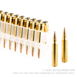 500 Rounds of .223 Ammo by Federal LE TRU - 55gr GameKing BTHP