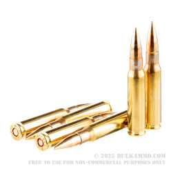 20 Rounds of 7.62x51mm Ammo by Sellier & Bellot - 147gr FMJ