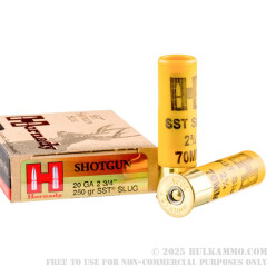 5 Rounds of 20ga Ammo by Hornady - 250gr Sabot Slug