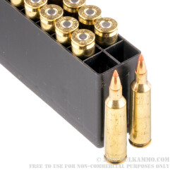 20 Rounds of .22-250 Rem Ammo by Hornady Superformance Varmint - 50gr V-MAX