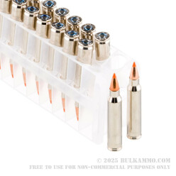 20 Rounds of .223 Ammo by Federal - 55gr Nosler Ballistic Tip