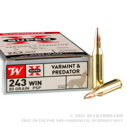 20 Rounds of .243 Win Ammo by Winchester - 80gr SP