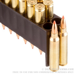 20 Rounds of .223 Ammo by Nosler Trophy Grade Varmint Ammunition - 35 gr Polymer Tipped