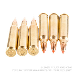 20 Rounds of .223 Ammo by Nosler Trophy Grade Varmint Ammunition - 35 gr Polymer Tipped