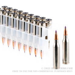 20 Rounds of .243 Win Ammo by Federal Vital-Shok - 95gr Nosler Ballistic Tip