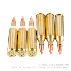 20 Rounds of .243 Win Ammo by Fiocchi - 95gr SST